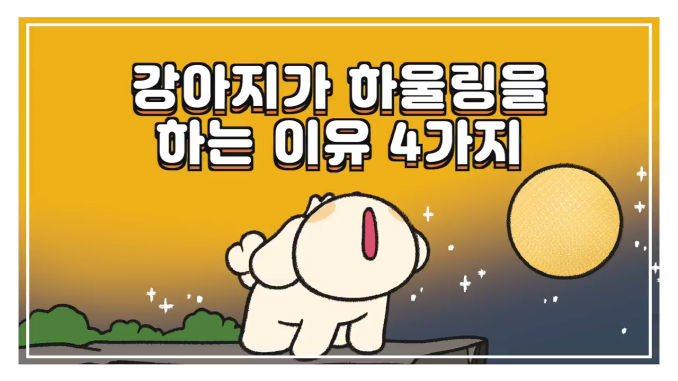 비마이펫_강아지 하울링